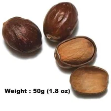 Whole Nutmeg High Quality,Organic Herbs & Spices Free Shipping Sri lanka 50g