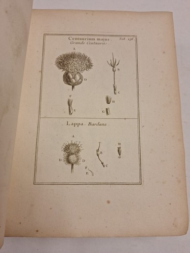 JOSEPHI (JOSEPH) PITTON 1700, 3 BÄNDE TOURNEFORT INSTITUTIONES REI HERBARIAE - Bild 21 von 22