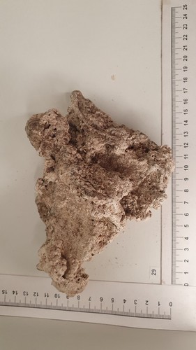Nr.29 Nano Aquarium echtes Riffgestein Felsen Stein Einzelstück *RAR Meerwasser* - Bild 2 von 4