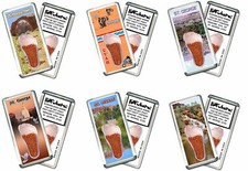 St. George FootWhere® Souvenir Fridge Magnets. 6 Piece Set. Made in USA