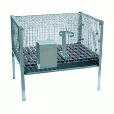 gabbia per coniglio maschio conigli ingrasso allevamento roditori