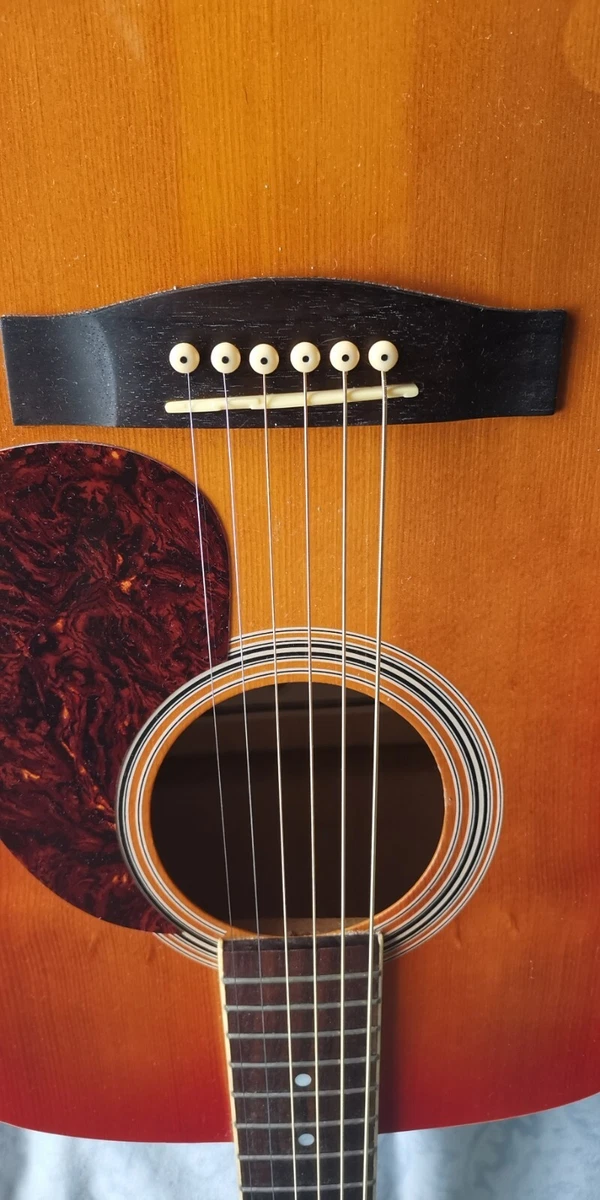 Hohner countryman sale acoustic guitar