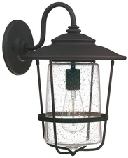 Capital Creekside 16 1/4" High Black Outdoor Wall Light