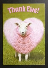 Funny Thank You Card