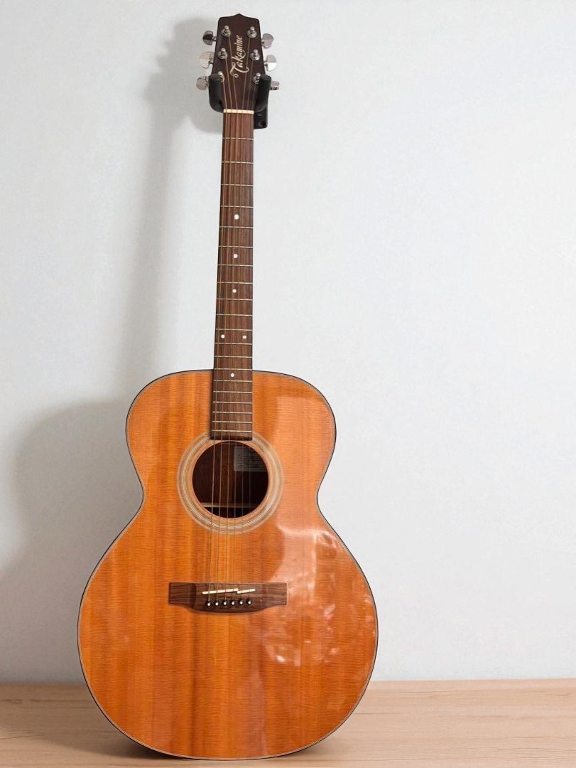 Acoustic ギター Takamine TSA500