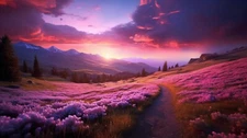 Digital Image Photo Picture Wallpaper Background Desktop Lavender Landscape