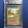 MTG Alpha Tranquility C G  BGS 9 MINT  (9 corners, edges, surface)  1993