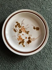 12 Vintage Stoneware Dinner Plates 70s Retro Floral Four Seasons Autumn Bouquet