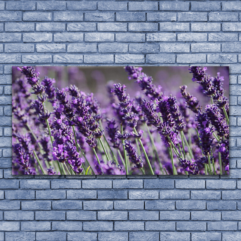 Tulup Impression sur Verre Trempé 100x50cm - Plastique Imprimés Tableau Décoration Déco Mural Moderne Design - Fleur Floral