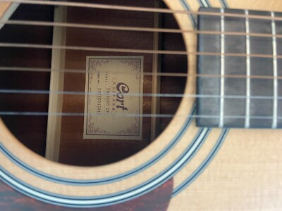 Cort Earth 70 OP Western Guitar (Gitarre)