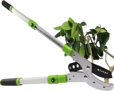 26-41 Inch Telescopic Bypass Lopper Garden Pruner Anvil Lopper 2" Branch Cutter