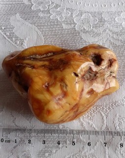 Bernstein poliert 55 g