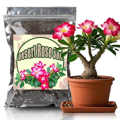 Organic Desert Rose Potting Soil Mix 10qt  NutrientRich Natural Blend