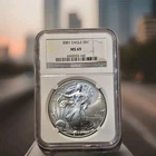 2001 (P) American Silver Eagle NGC MS69 Brown Label W/chip On Case