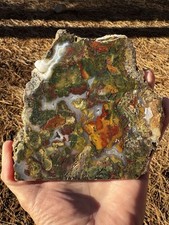 RARE Polished MARSTON RANCH JASPER display specimen brecciated/agate pockets