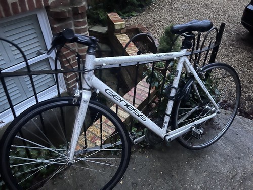 ridgeback genesis day 01