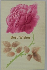 Bright Pink Rose with Thorn Vine and Leaves, "Best Wishes" - Vintage Postcard