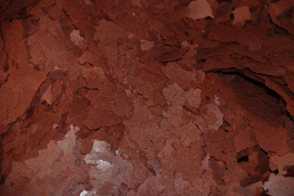 KENS Ken's Premium Beefheart Flake