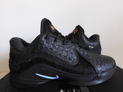 Nike LeBron XXII 22 Black Label Triple Black Mens Rare [IB3866-001]