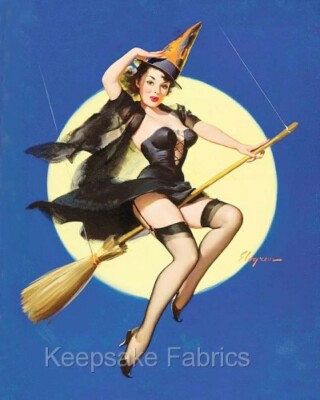 Halloween Pin Up Witch Broom Cotton Crazy Quilt Block Multi Szs