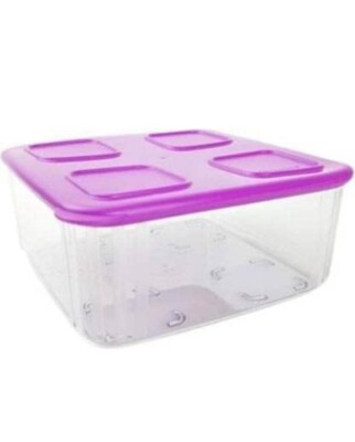 Tupperware Clara Mates 1.6 Ltr Clear Base Purple Lid 