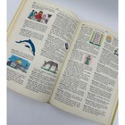 Foto 7 di 10