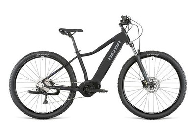 Dema Gama 29'' 12 Fach 2022 Unisex E-Mountainbike/Aluminium SM/17,5'' Grau/Violet