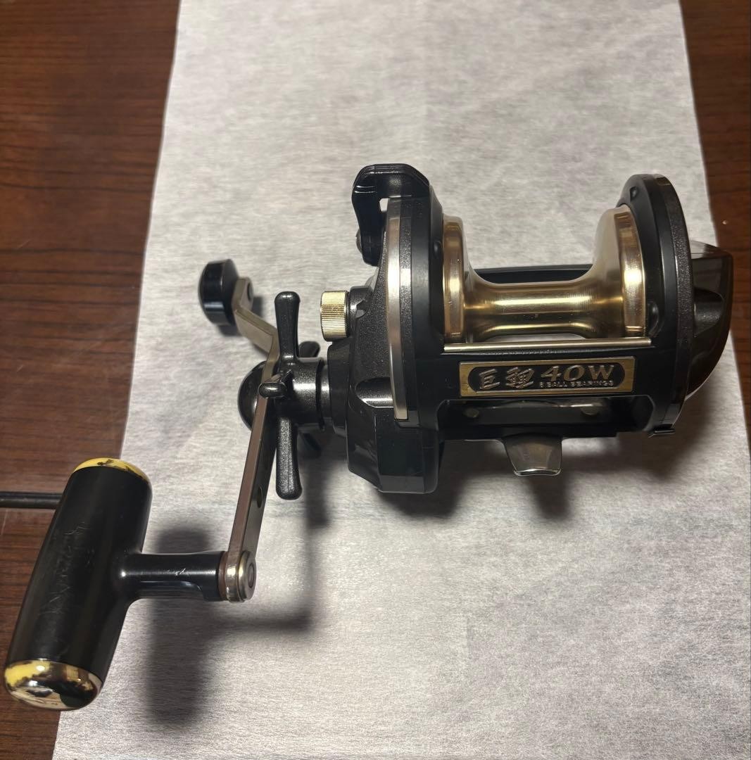 Daiwa Giant Carp 40W Baitcasting Reel