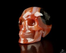 2.0 Agate Carved Crystal Skull, Crystal Heali...