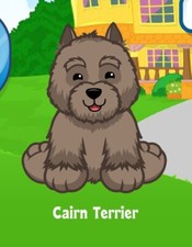 Webkinz Classic Cairn Terrier Virtual Adoption Code Only RARE HTF