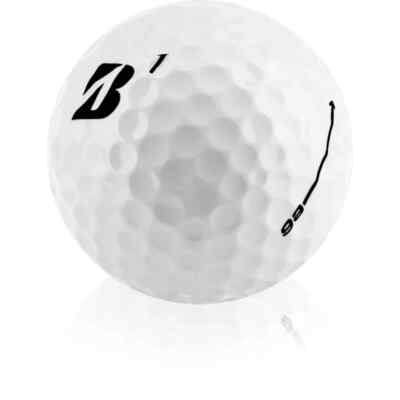Bridgestone e6 Near Mint AAAA Golf Balls - 48 Pack - FREE Shipping