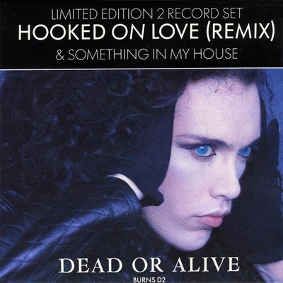 Dead Or Alive - Hooked On Love Remix - Used Vinyl Record 7 - J5829z