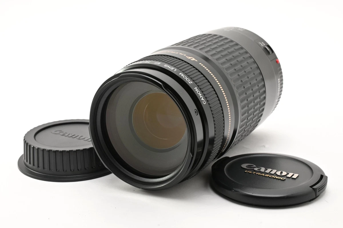 Canon EF 75-300mm Camera Lenses for sale | eBay