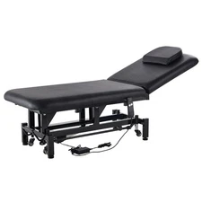 High Capacity Electric Lift Table 550lb 0-45° Adjustable Backrest Mobile Cart