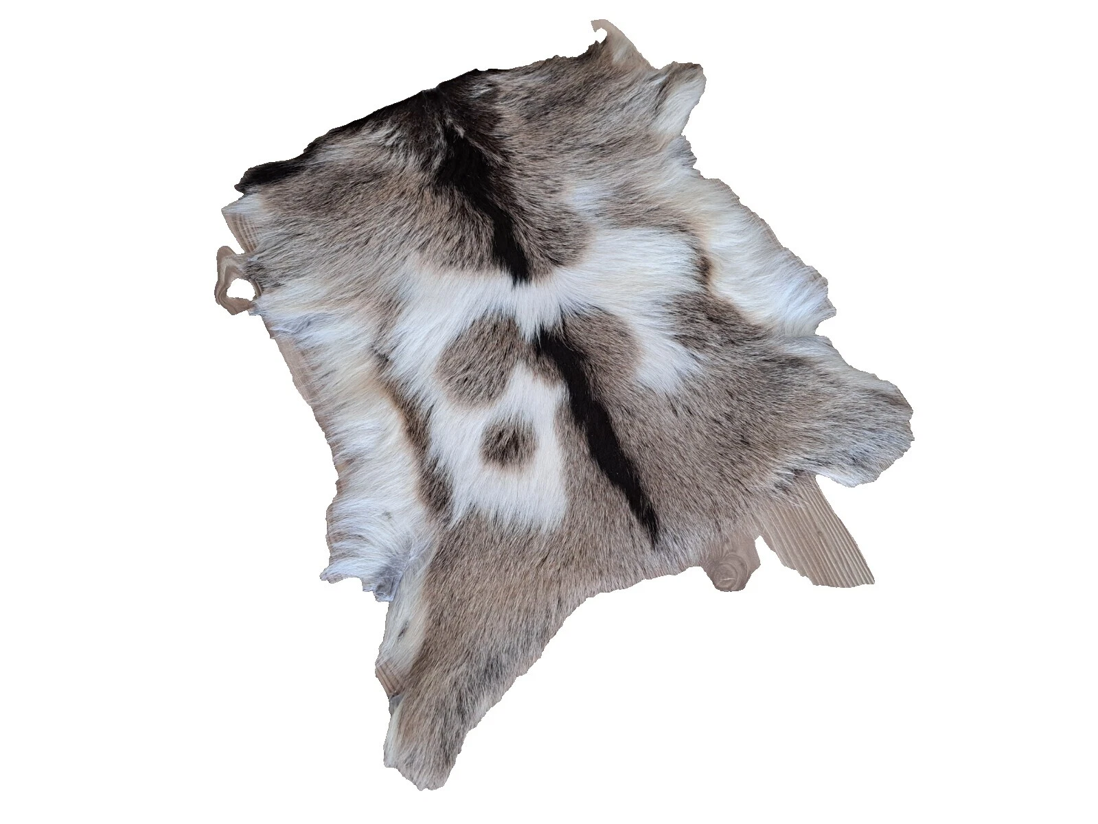 Sheepskin Brown Leather, Fur & Sheepskin Rugs