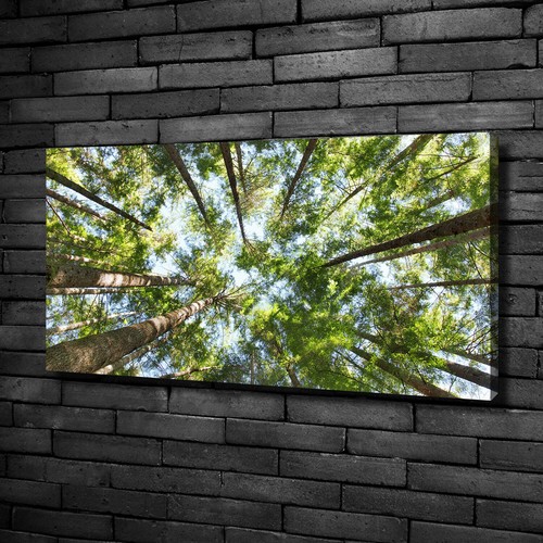 Tulup Tableaux Sur Toile Image Imprimé 100x50cm - Bouleaux En Automne
