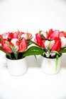 Pink Corduroy Round Footstool Wooden Legs & Faux Red Tulip Plants Decor Bundle — photo 2