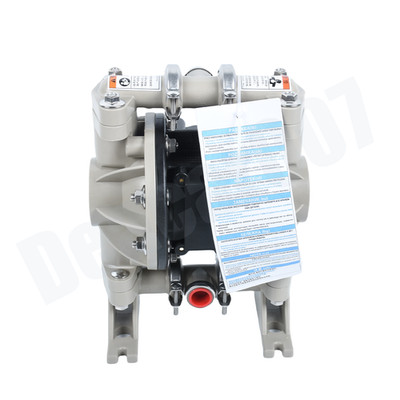 Diaphragm Pump Fits Ingersoll Rand ARO 666053-388 USA