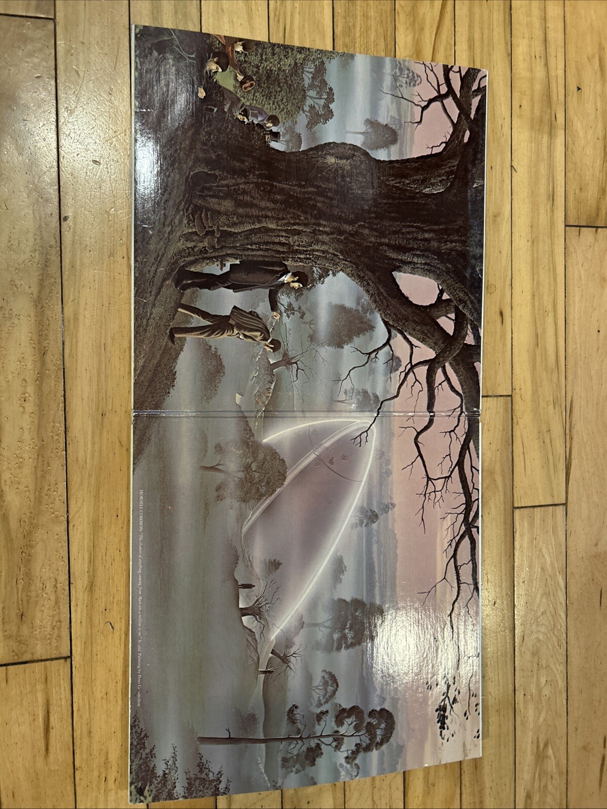 Picture 2 of 7