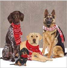 ppd 20 Servietten "Scarf Dogs", 25 x 25 cm, Hunde, Winter, Weihnachten