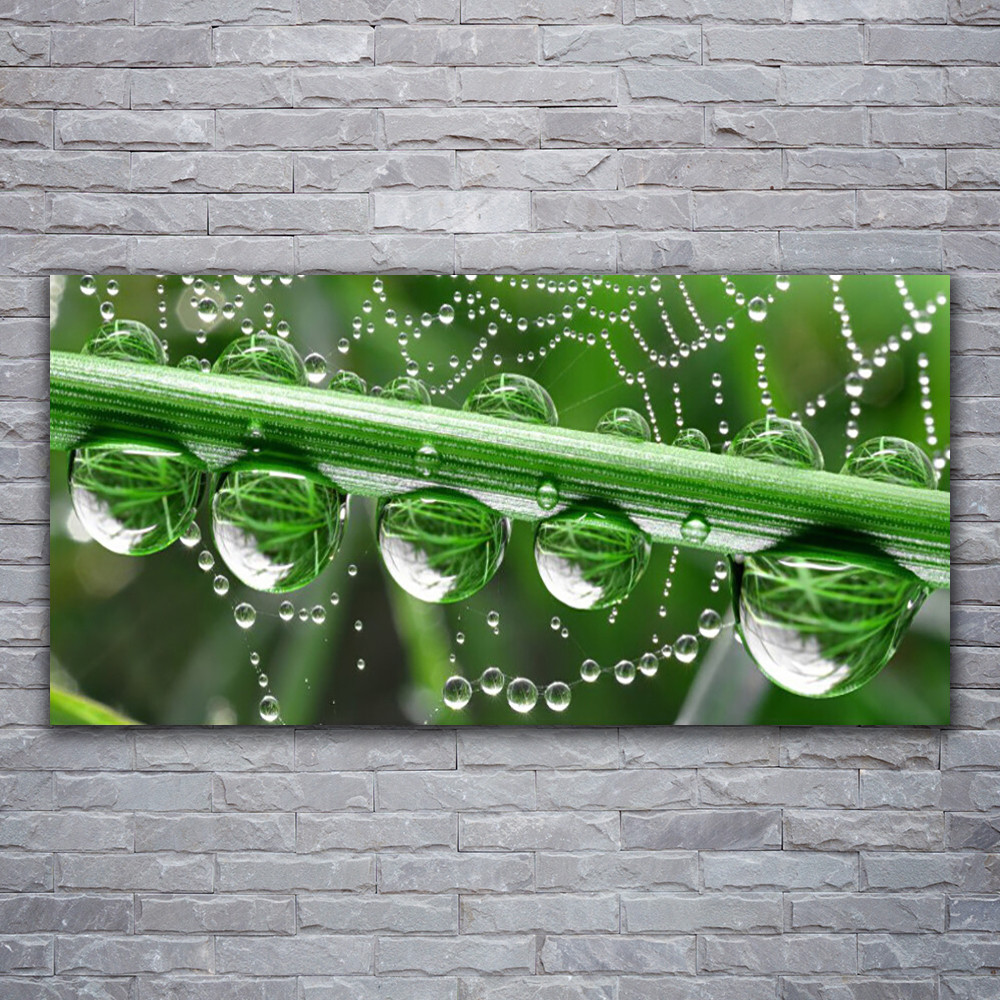 Toile araignée goutte rosée tableau acrylique 120x60 pour décoration murale