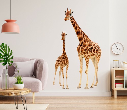 Murale 3D Bird Feather G662 – Poster Stickers Muraux – Plume Oiseau Colorée