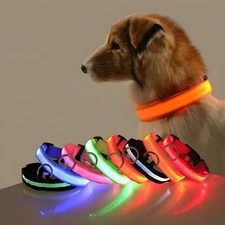 LED Dog Collar Nylon Night Safety Flashing Glow in Dark Pet Harness