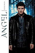 ANGEL OMNIBUS By Peter David & Jay Faerber