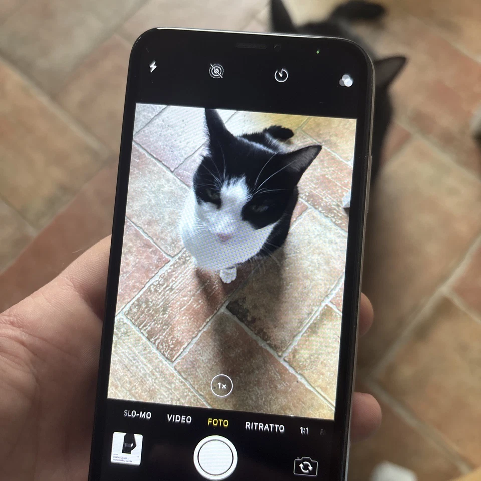 Apple iPhone X - 64 GB - Argento (Sbloccato) - Immagine 3 di 4