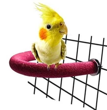 Rypet Parrot Perch Rough-surfaced - Quartz Sands Bird Cage  Assorted Colors 