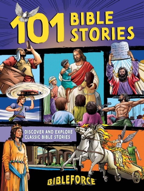101 Bible Stories by Janice Emmerson-Hicks (Paperback Book)