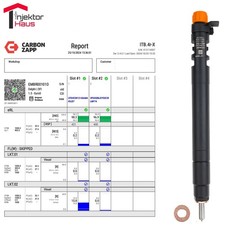 Einspritzdüse EMBR00101D 9686191080 9M5Q9F593BA Citroen Fiat Ford Peugeot HDI