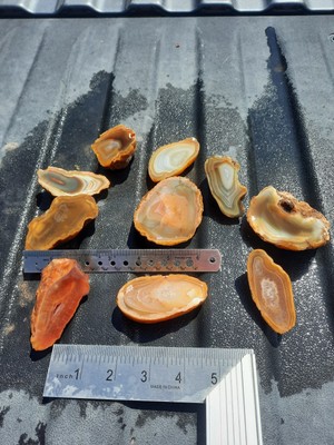 Sumatran/Indonesian Island Agate! 2 Lb. Half Nodule Rough Lot! 