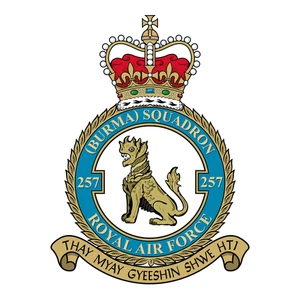 No. 257 Squadron RAF badge patch Self Adhesive Vinyl Sticker
